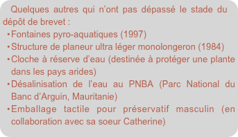 Quelques autres qui n’ont pas dépassé le stade du dépôt de brevet :
Fontaines pyro-aquatiques (1997) 
Structure de planeur ultra léger monolongeron (1984) 
Cloche à réserve d’eau (destinée à protéger une plante dans les pays arides)
Désalinisation de l’eau au PNBA (Parc National du Banc d’Arguin, Mauritanie)
Emballage tactile pour préservatif masculin (en collaboration avec sa soeur Catherine)